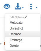 The File Options menu with the Replace function highlighted.
