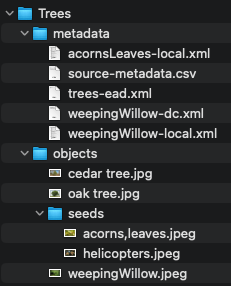 Directory tree for a standard transfer containing XML metadata files and a source-metadata.csv file in the "metadata" directory for the XML import workflow in Archivematica.